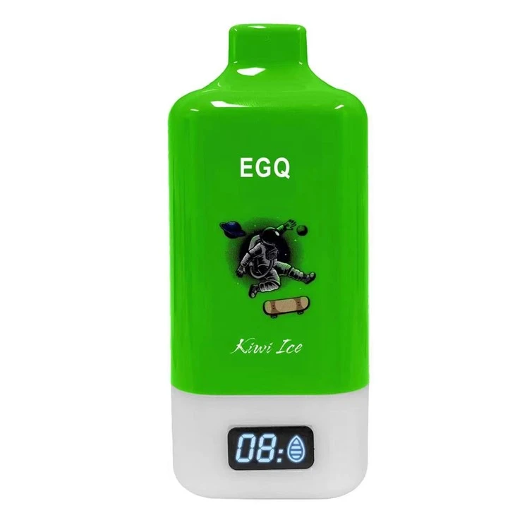 Electronic Cigarette Vape Pod 15000 Puffs Chargeable Vape