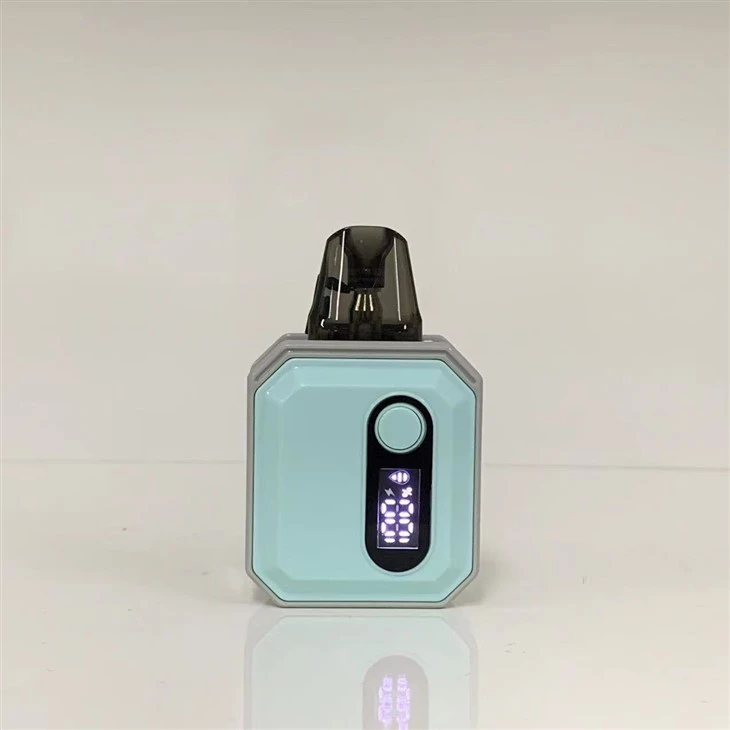 100% オリジナル 600 パフ カスタム気化器ペン Vape ポッド