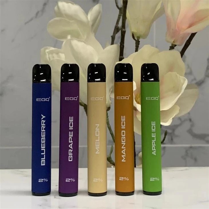 600 Puffs Disposable E Cigarette Wholesale